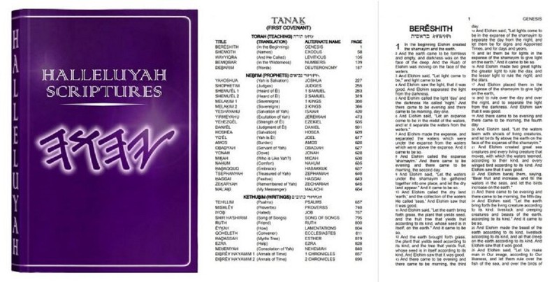 HALLELUYAH SCRIPTURES STANDARD BILE With Free Book & Free Shipping gallery