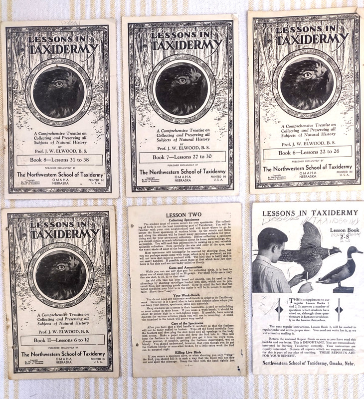 Northwestern School Of Taxidermy Lessons In Taxidermy Books 6, 7, 8, 11 Ephemera