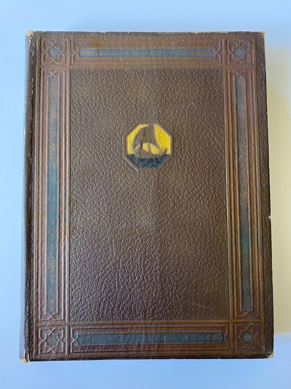 Antique Our Wonder World Vol. III The Nature Book 1918 Leather Bound Illustrated