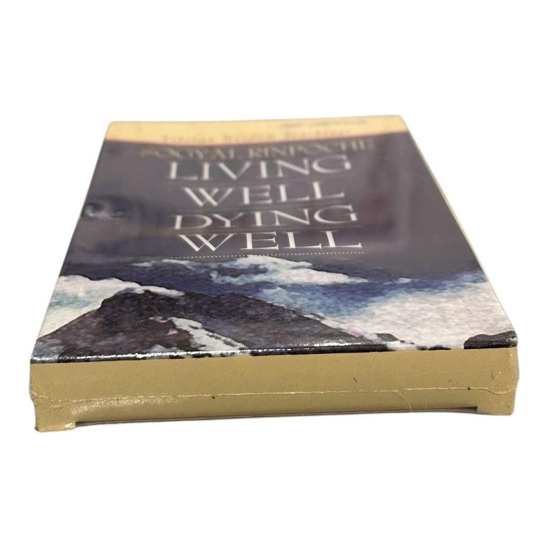 Living Well Dying Well Sogyal Rinpoche Audio Cassette Tape Sounds True Buddhism gallery