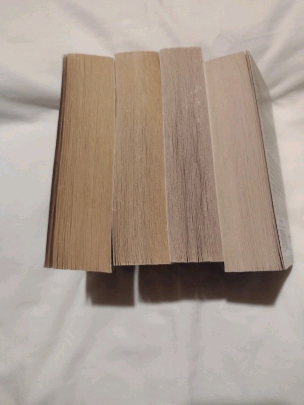 Lot of 4 Harlequin Books (2 Novels in 1) Amish Love Stories gallery
