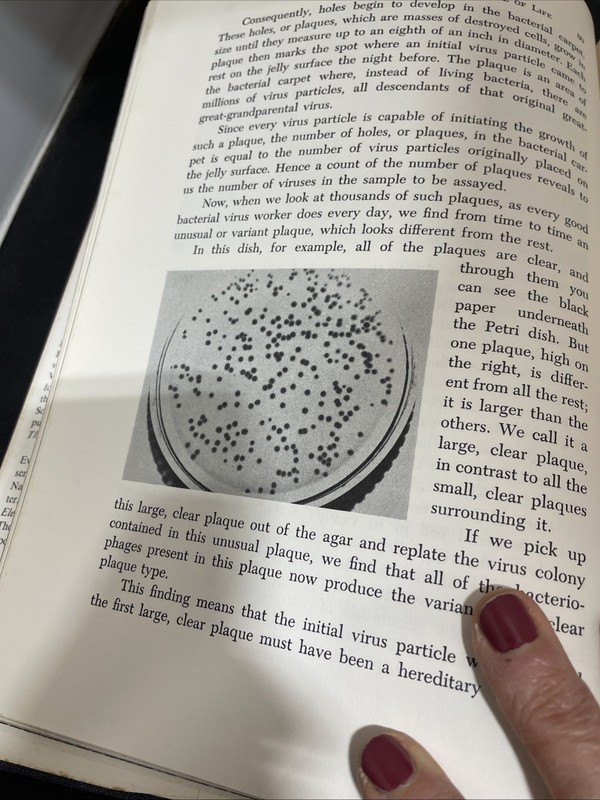 Viruses and the nature of life W. M. Stanley & E. G. Valens Pre-Owned gallery
