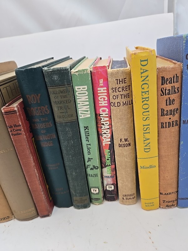 Mixed Lot 18 Vtg, Antique 1900-60's Children’s Learning & Reading School Books gallery