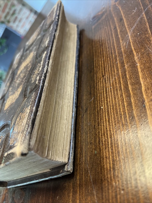 1870 Night Scenes In The Bible Illustrated Leather Gilded Edges by Rev. D. March gallery