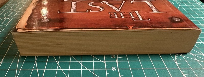 The Last Wish 1st English Ed Softcover Andrzej Sapkowski The Witcher Near Fine! gallery