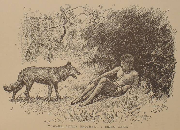1894 Mowgli THE JUNGLE BOOK Antique FIRST EDITION us a RARE Rudyard KIPLING gallery