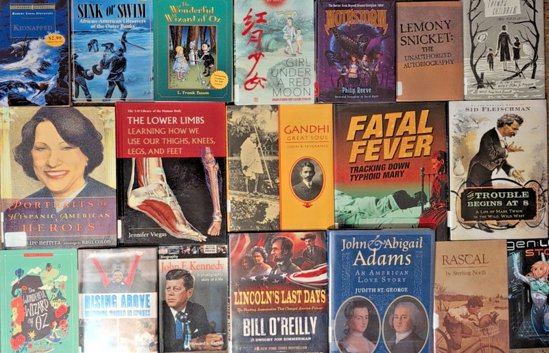 RANDOM Lot of 10 Accelerated Readers AR 7.0-7.9 Chapter Books Teacher Homeschool gallery