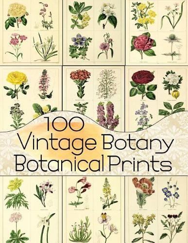 C Anders 100 Vintage Botany Botanical Prints (Paperback) (UK IMPORT)