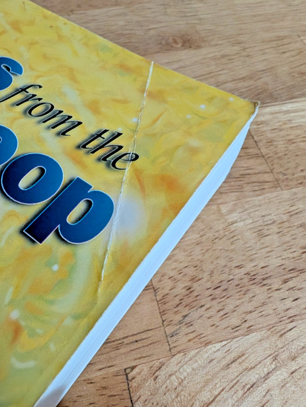 Tales from the Time Loop by David Icke Big Brother Global Conspiracy Book gallery