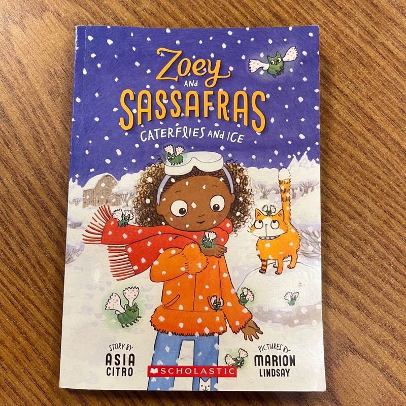 LOT OF 6 ZOEY AND SASSAFRAS CHAPTER BOOKS #1-6 BY ASIA CITRO magic science gallery