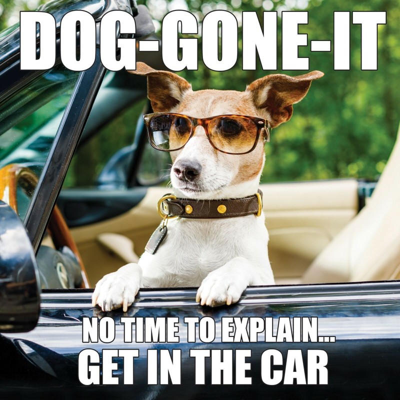 Dog Gone-It Gift Book (Brand New) 5.5″ x 5.5″ (free ship)