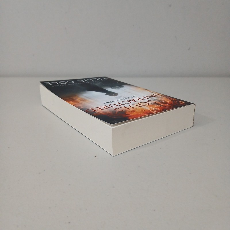 Tillie Cole Souls Unfractured Hades Hangmen Series Book #3 -Very Rare OOP Series gallery