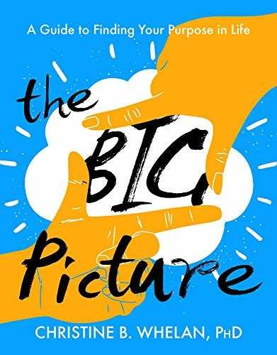 The Big Picture: A Guide to – Paperback, by Whelan Christine B. – Very Good x