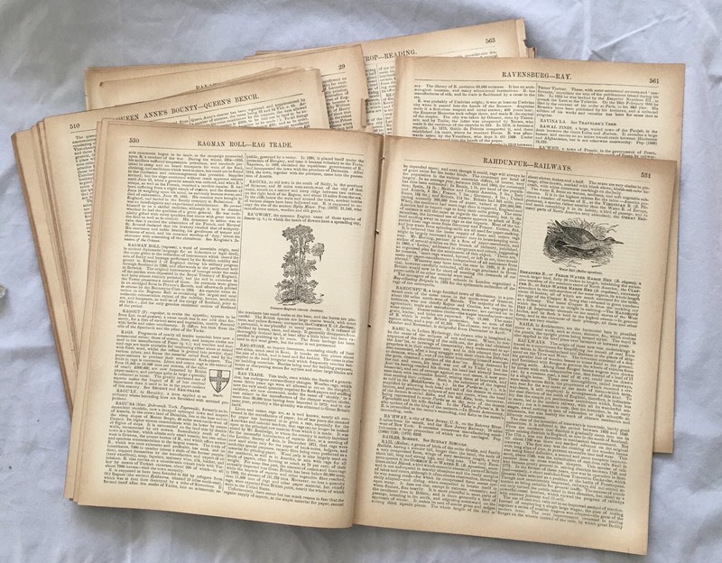 90+ Pages (1 lb) from Antique 1880s Books • Scrapbook, Art • Aged Paper Lot