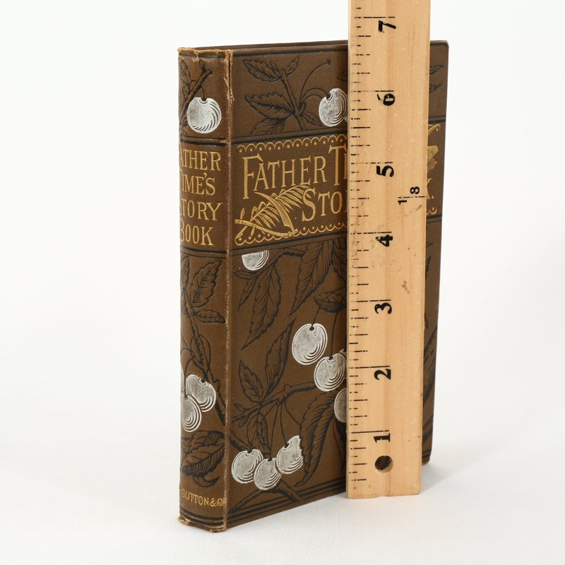 Father Time's Story Book Kathleen Knox 1882 Illustrated E. P. Dutton & Co.RARE gallery
