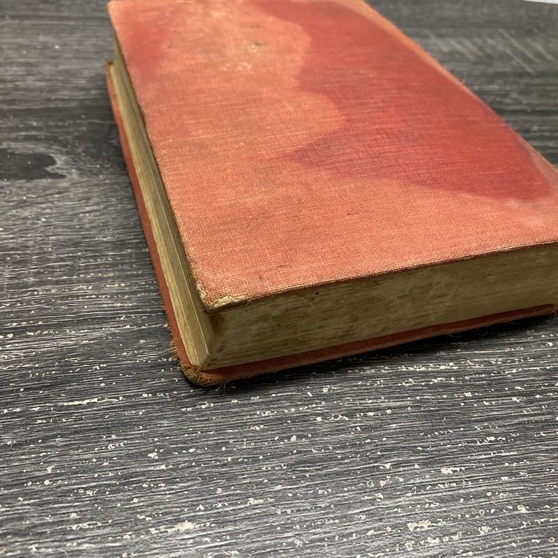 "THE SON OF TARZAN" by E.R. Burroughs. Illustrated by J. Allen St. John???? gallery