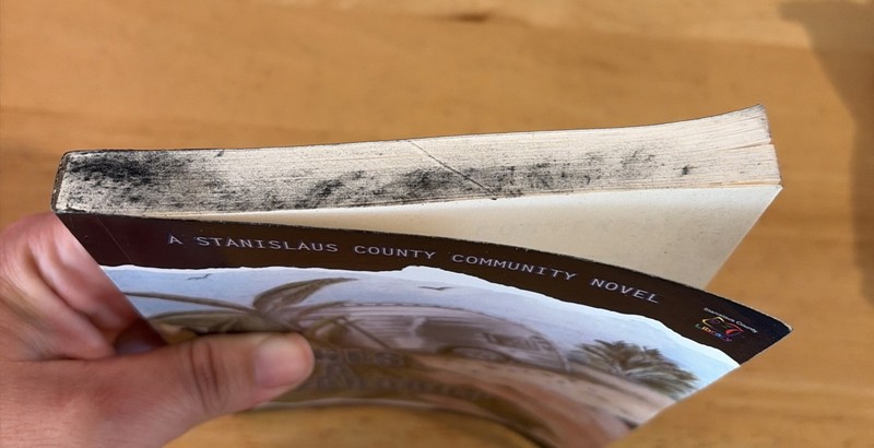 ASHES IN A TEARDROP: A STANISLAUS COUNTY COMMUNITY NOVEL By 1 5 Stanislaus gallery
