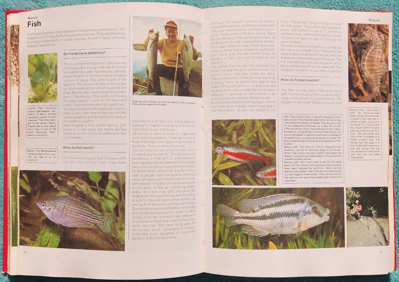 All-Colour Question And Answer Encyclopedia 1979 Illustrated Hardcover 220 Pages gallery