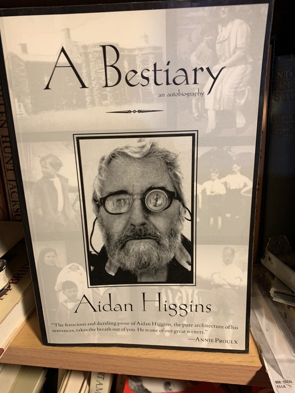 Irish Literature Ser.: Bestiary by Aidan Higgins (2004, Trade Paperback)