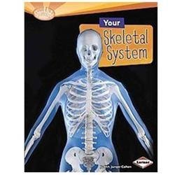 Your Skeletal System by Arnold, Caroline