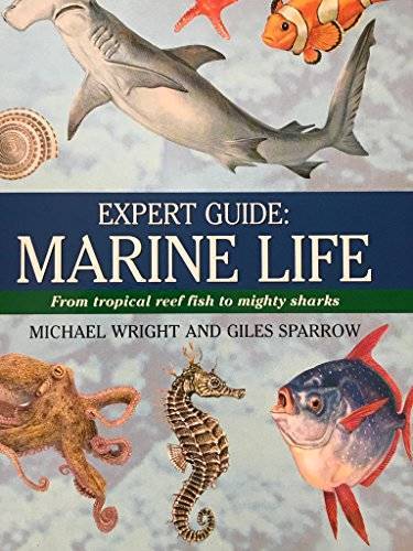 Expert Guide: Marine Life – Paperback By Michael Wright – GOOD