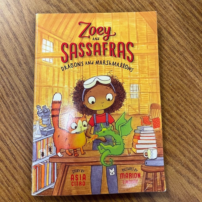 LOT OF 6 ZOEY AND SASSAFRAS CHAPTER BOOKS #1-6 BY ASIA CITRO magic science gallery