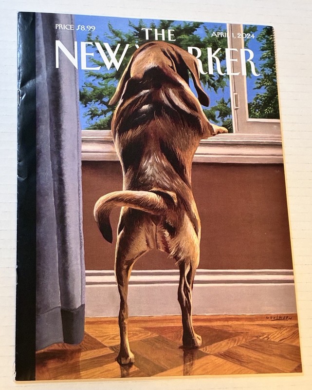 THE NEW YORKER Magazine Lot Of 11 From 2023/2024 No Labels gallery