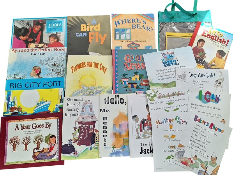11 Oversized Easel Books 6 Chime In Charts 8 Hampton Brown Vintage 90s Lot READ