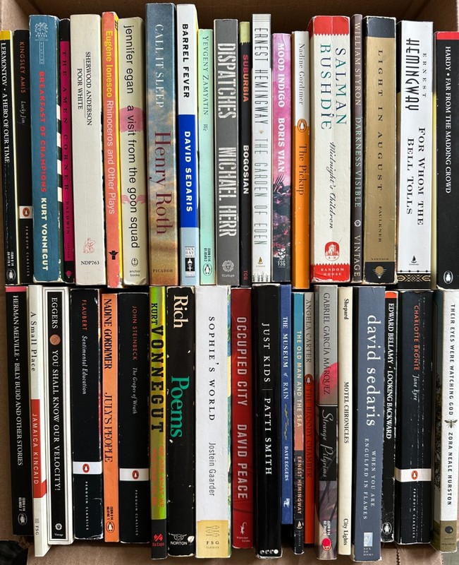 BUILD YOUR OWN LOT Cult Novels Modern Classics Contempo Lit Bundle & Save $2-$6 gallery