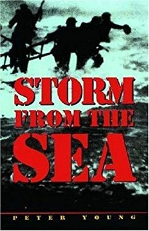 Storm from the Sea Paperback Peter Young