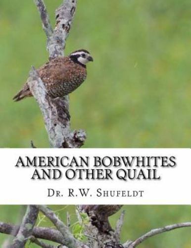 American Bobwhites and Other Quail, Paperback by Shufeldt, R. W.; Chambers, J…