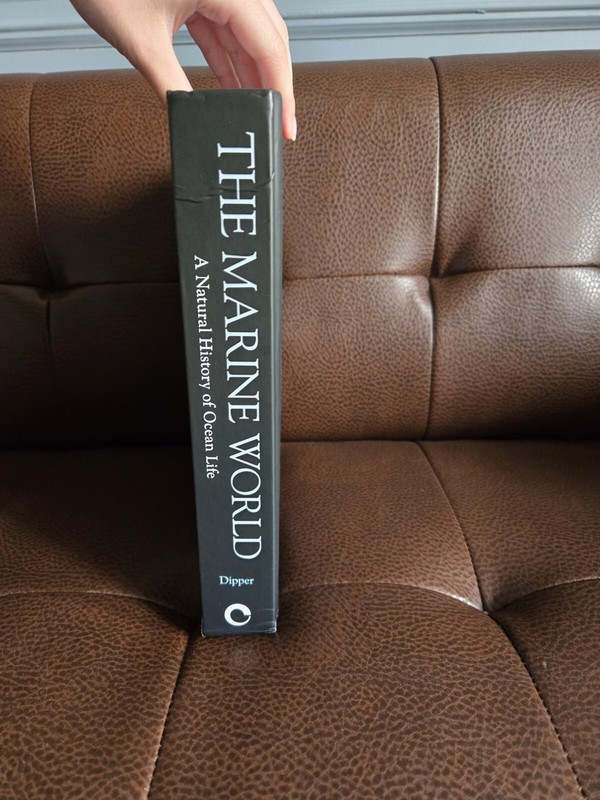 THE MARINE WORLD: A NATURAL HISTORY OF OCEAN LIFE By Frances Dipper & Mark gallery