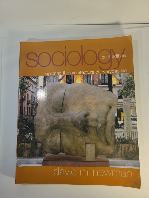 Sociology : Exploring the Architecture of Everyday Life, Brief Edition by David