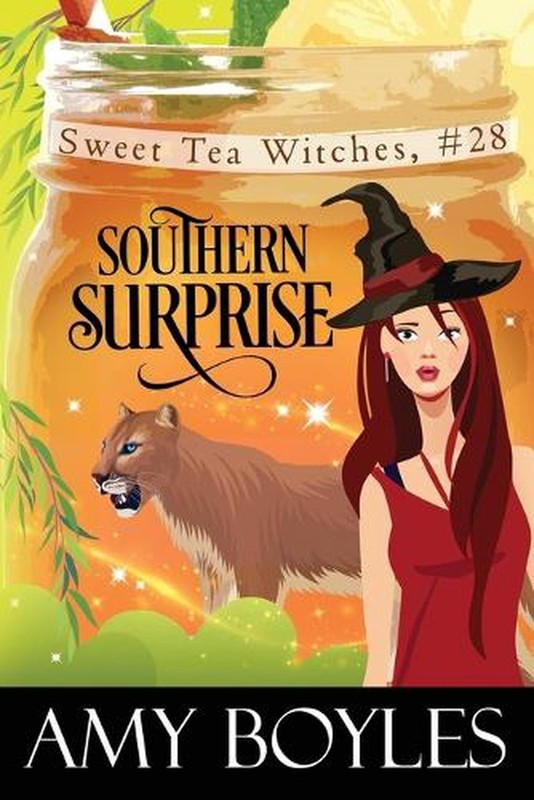 Southern Surprise by Amy Boyles Paperback Book