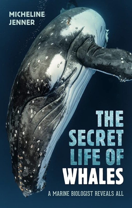 The Secret Life of Whales: A Marine Biologist Reveals All – paperback Jenner…