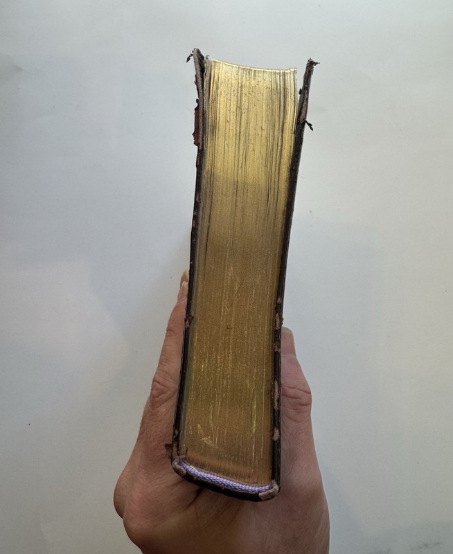 Holman Rainbow Study Bible NIV Edition LeatherTouch Brown Purple Fast Shipping gallery
