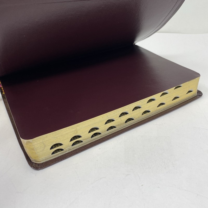 The Rainbow Study Bible New International Version Bonded Leather Thumb-Indexed gallery