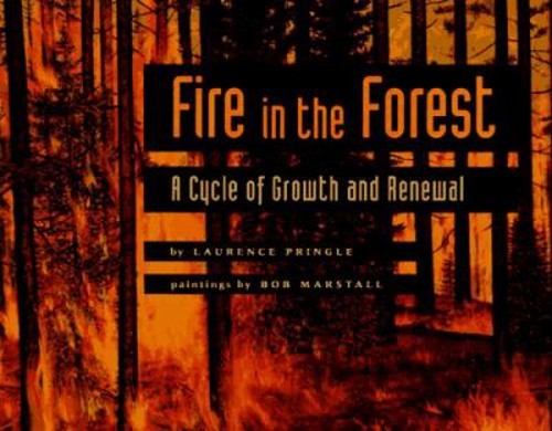 Fire in the Forest : A Cycle of Growth and Renewal Hardcover Laur