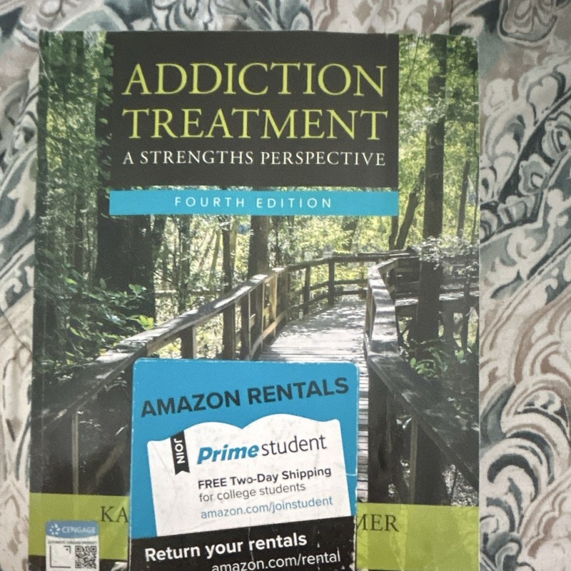 Addiction Treatment: A Strengths Perspective 4th Ed Paperback 2013 van Wormer
