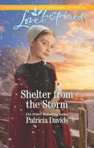 Shelter from the Storm; North Country- 9781335479372, paperback, Patricia Davids