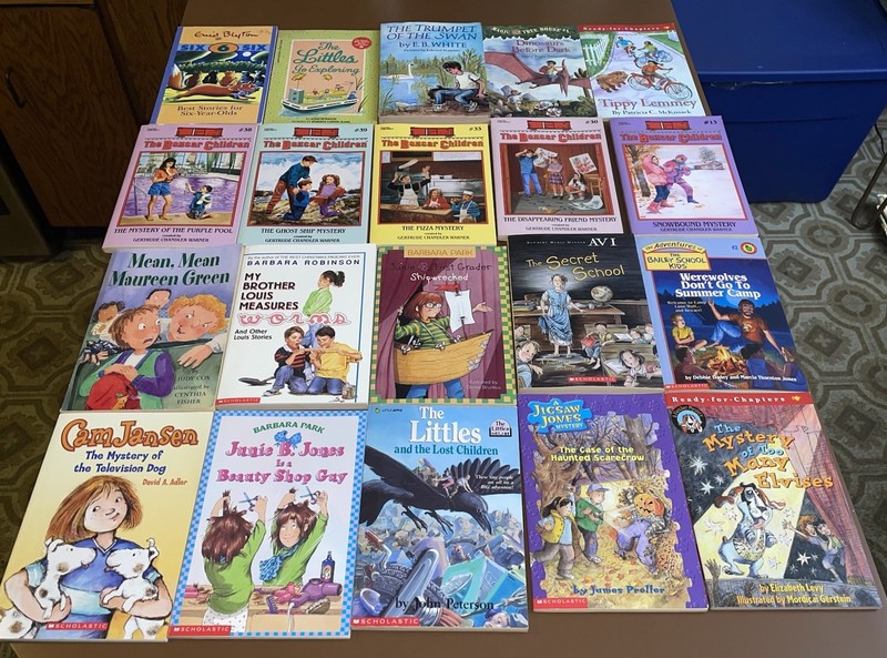 Lot of 60 Chapter Books For 1st 2nd 3rd Grade Readers Ages 6-10 Huge Variety gallery