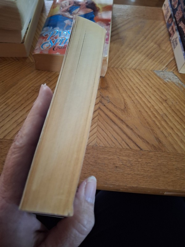 The Bayou Fox By Helene Sinclair (1987 Mass Market Paperback) gallery