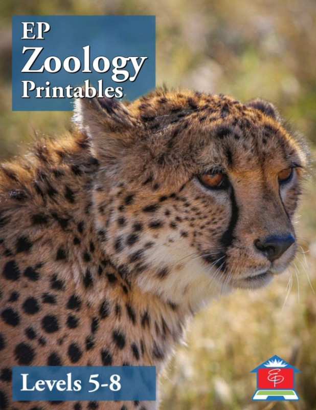 EP Zoology Printables: Levels 5-8: Part of the Easy Peasy All-in-One Homesch…