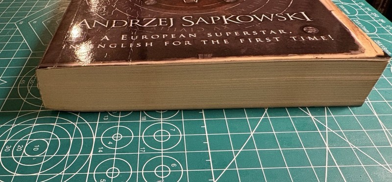 The Last Wish 1st English Ed Softcover Andrzej Sapkowski The Witcher Near Fine! gallery