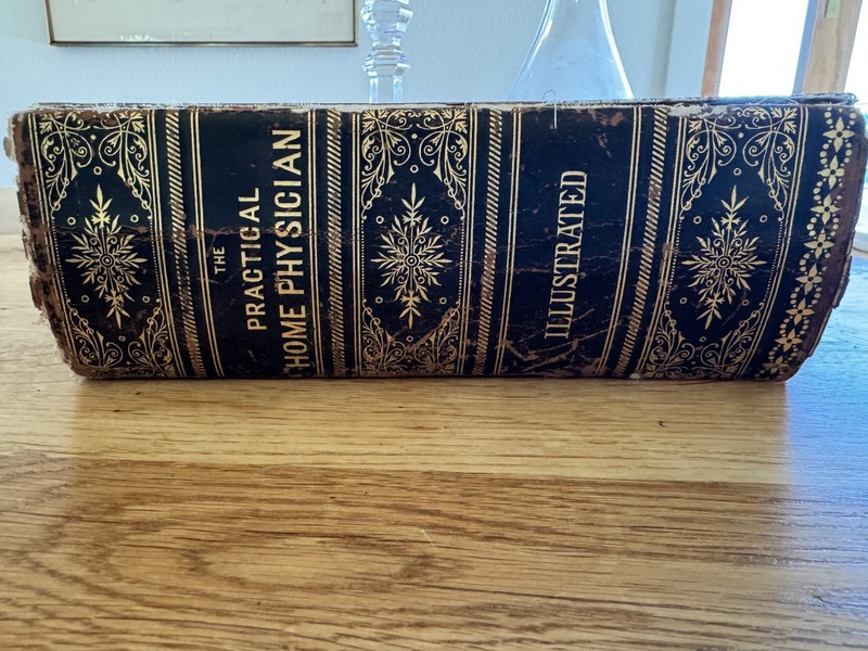 The Practical Home Physician Illustrated 1885 Hardcover Law, King & Law SF