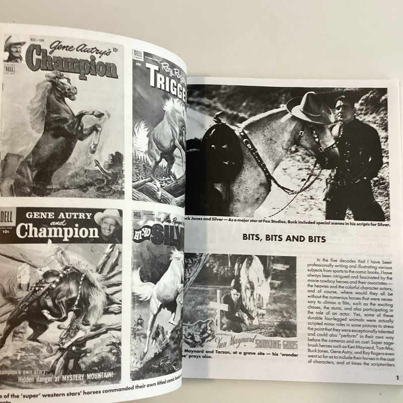 Horse Bits from the ‘B’ Western Movies & TV • DeMarco Western Films gallery