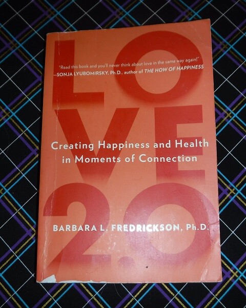 Love 2.0: Finding Happiness and Health in Moments of … by Barbara L. Fredricks