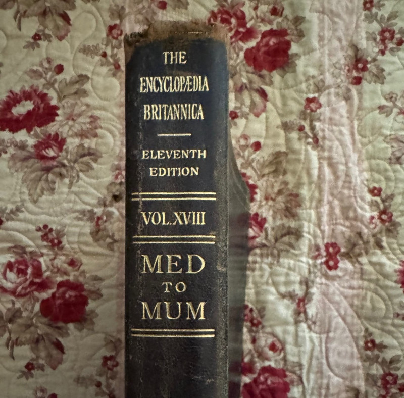 Encyclopedia Britannica 11th Edition (1910 to 1911), Volume XVIII, MED to MUM