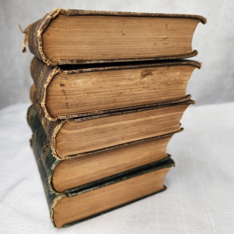 Louisa May Alcott 5 Brown Books Little Women Men Rose in Bloom 8 Cousins Jo boys gallery