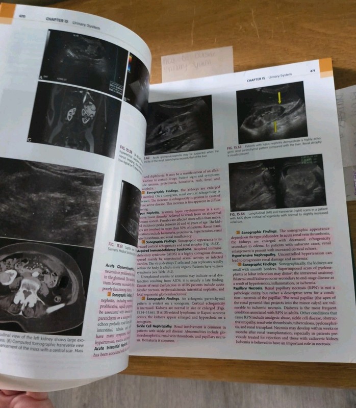 Vol 1 Textbook of Diagnostic Sonography 9th Ed Hardcover Sandra L. Hagen-Ansert gallery